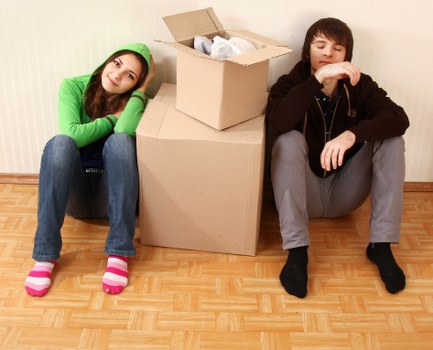 Professional removal service terms and conditions document
