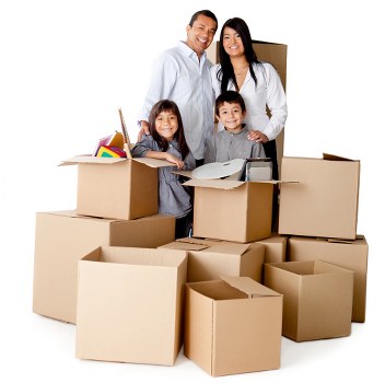 Annual policy review for a removal company in Enfield